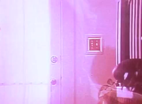 The still from 'Welcome to Fulton St' features a brightly lit entryway with a door, likely suggesting themes of warmth and welcome. A light switch is visible on the wall, which may symbolize energy efficiency and conscientious living. The overall aesthetic has a vintage quality, likely reflecting the period of its production. The image promotes the idea of an inviting, energy-efficient home.