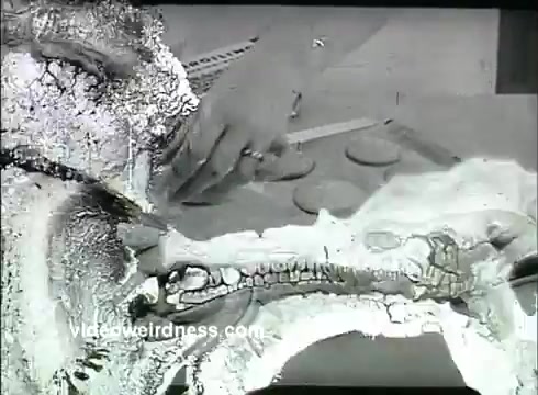 The 16mm still from the animated commercial 'It's Quilted' for Kaiser Aluminum Foil presents a unique visual style characteristic of 1950s advertising. It likely features a hand interacting with various food items, possibly illustrating the benefits of the aluminum foil in a quirky, animated fashion. The imagery is a mix of surreal and playful elements typical of that era's animation, emphasizing the product's features creatively. The overall aesthetic reflects a vintage quality, typical of mid-20th-century promotional materials.