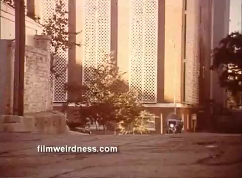 The still features a street scene with a focus on a tree and a building in the background, characterized by a patterned facade. The lighting suggests a late afternoon or evening atmosphere, with warm tones illuminating the surroundings. The composition conveys a sense of calmness, setting the stage for the context of 'Outlaw Blues.'