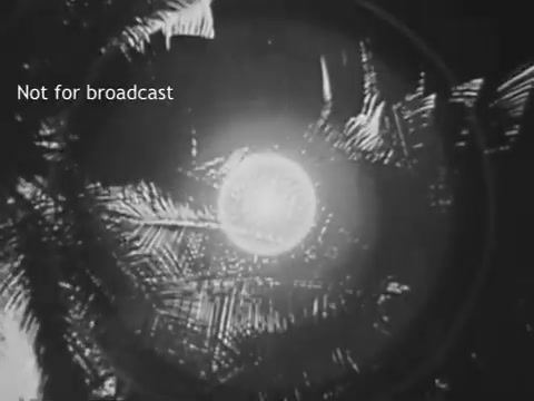 The still from the 1965 Betty Crocker Tropical Mist Cake Mix showcases a circular light or orb, surrounded by a backdrop of palm leaves or fronds. The image is likely intended to evoke a tropical atmosphere, reinforcing the product's theme. The text 'Not for broadcast' indicates it is a production still not meant for public airing.