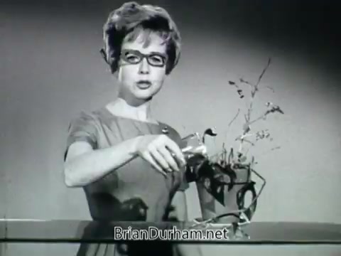 The still from the 'Plantivater commercial - 'A Max Klein Product'' features a woman, likely in the 1960s, demonstrating the Plantivater planters. She appears confident, with styled hair and glasses, dressed in a simple, elegant outfit. The backdrop is minimalistic, emphasizing the planter she is holding.   The voiceover introduces the product, highlighting its appeal for those who may struggle with plant care, as reflected in the woman's statement about not having a green thumb. The commercial aims to convey that with Plantivaters, anyone can enjoy beautiful house plants effortlessly. The overall tone is informative and reassuring, typical of advertisements from that era.
