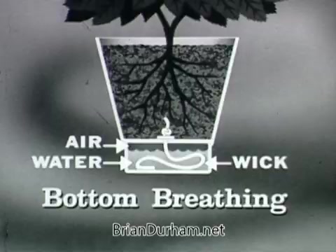 The still from the 'Plantivater commercial - 'A Max Klein Product'' features a visual explanation of how the Plantivater planters work. The image likely shows a cross-section of the planter, illustrating the concepts of air, water, and wick, which facilitate a method known as 'bottom breathing.'   In the commercial, a voiceover emphasizes the beauty of the house plants housed in these planters, while a woman's voice expresses her lack of confidence in her ability to care for plants. The commercial aims to convey that with the Plantivater, even those without a 'green thumb' can successfully cultivate beautiful plants. The clear, functional design of the graphic aids in explaining the product's innovative watering technique.  This retro presentation style combined with