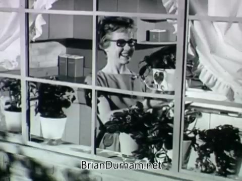 The 16mm still from the 'Plantivater commercial - 'A Max Klein Product'' features a woman smiling as she interacts with vibrant houseplants displayed in planters. She appears to be standing by a window adorned with curtains and has stylish sunglasses on. The scene exudes a cheerful and inviting atmosphere, emphasizing the ease of using Plantivaters for plant care. The voiceover suggests that these planters help anyone, regardless of their gardening skills, cultivate beautiful plants at home.