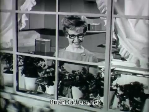 The still from the 'Plantivater commercial - 'A Max Klein Product'' features a woman with glasses smiling joyfully as she looks through a window adorned with houseplants in planters. The setting suggests a cozy and inviting home atmosphere, emphasized by the window’s curtains and the neatly arranged plants. The voiceover conveys a message about the ease of caring for these plants, while the woman’s expression reflects a sense of satisfaction and delight, possibly indicating her newfound success with plant care. The overall vibe of the image feels nostalgic, representing mid-20th century advertising aesthetics.