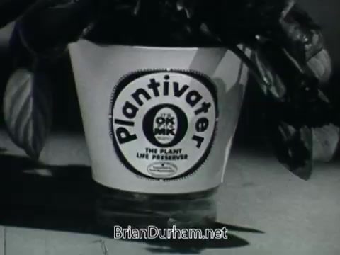 The still from the 'Plantivater' commercial features a close-up of a planter with a distinctive logo. The planter, labeled 'Plantivater,' is described as 'The Plant Life Preserver.' The commercial conveys a message targeted at individuals who may struggle with maintaining house plants, highlighting the ease of use of the Plantivater. A woman's voice expresses her lack of confidence in caring for plants, while the voice-over reassures her, emphasizing that with Plantivater, anyone can successfully keep plants alive. The overall tone appears to be encouraging and informative, aiming to attract potential customers by addressing common gardening concerns.
