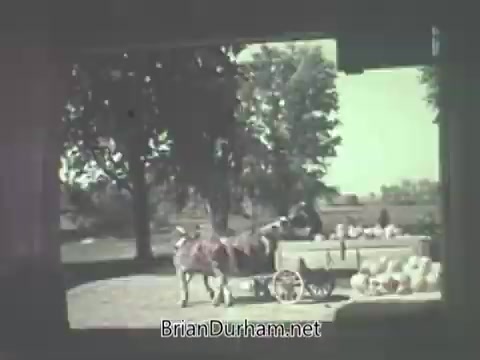 The still features a rural scene with a horse-drawn cart in a farm setting. A person is seen tending to the cart, which is likely filled with goods, while surrounded by trees and farmland. The image reflects a nostalgic and pastoral theme, typical of 1960s advertisements promoting Pennsylvania Dutch egg noodles, emphasizing a connection to traditional agriculture.