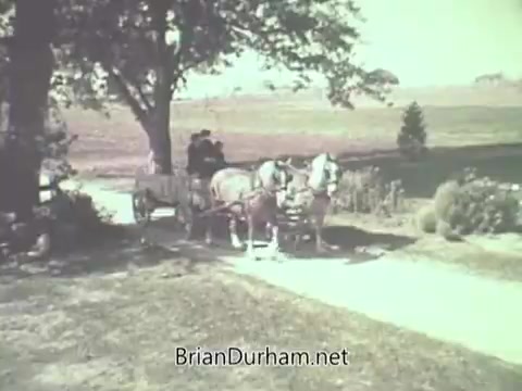The still features a scene from the 1960s Pennsylvania Dutch Egg Noodle commercial. It shows a picturesque rural setting with a horse-drawn carriage set against a backdrop of fields. A figure, likely a farmer or driver, is positioned near the carriage, evoking a sense of traditional, simple living. The overall atmosphere conveys nostalgia and pastoral charm, representative of the brand's heritage.