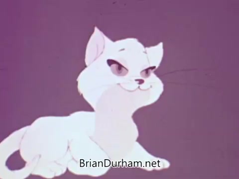 The still features a cartoon-style illustration of a cat, depicted with a sleek white coat and expressive eyes. The background has a soft, muted color, likely to enhance the cat's features. This image is part of an American Veterinary Medical Association PSA aimed at promoting cat care.  The voice-over suggests a focus on the simplicity of cat needs, implying that proper care doesn't require much. The replaced soundtrack, 'Licorice Song' by Endless Love, likely adds a lighthearted or whimsical tone to the message, reinforcing the PSA's aim to engage and inform viewers about feline welfare.