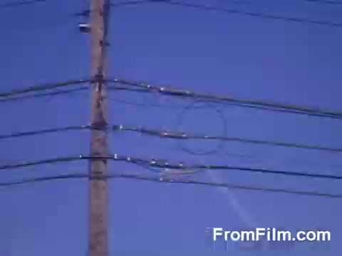 The still captures a clear blue sky with a utility pole and multiple power lines running horizontally across the frame. The bright colors and focus suggest the vibrant qualities of Kodachrome film. The image evokes a sense of suburban life, highlighting infrastructure that is often overlooked in daily life.