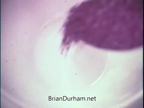 The still features a close-up of coffee grounds being poured into a container. The scene captures the rich texture and color of the coffee, suggesting freshness and quality. This visual emphasizes the message of Taster's Choice Decaffeinated Coffee being a flavorful option, despite being caffeine-free. The overall tone is nostalgic, reflecting the 1970s aesthetic of product advertisements.