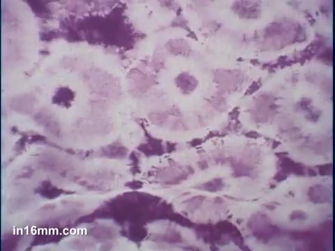 The still features a vibrant, abstract pattern characteristic of tie-dye designs, showcasing circular motifs predominantly in shades of purple. The colors blend smoothly, creating a sense of depth and texture that reflects the playful and artistic nature of tie-dye fashion, likely promoting RIT dye products.