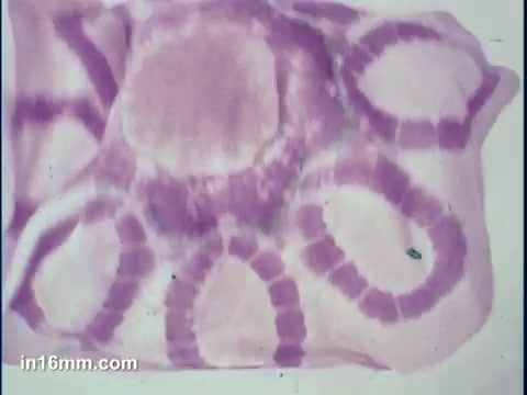 The still features a tie-dye pattern on fabric, showcasing circular shapes in shades of pink and purple. The design includes concentric rings and splotches, demonstrating the vibrant and artistic effects achievable with RIT dye. The visual emphasizes the playful and creative potential of tie-dye techniques.