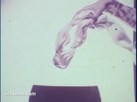 The still features a hand holding a piece of fabric being submerged into a container of dye. The background is bright and minimal, emphasizing the action of dyeing. The focus is on the transformation of the fabric, highlighting the tie-dye process in a visually engaging way.