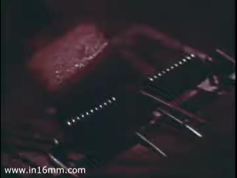 The still from 'National Audubon Society PSA - Hawks 1975' likely depicts a close-up view of a hawk or a related subject, emphasizing the connection within the food chain. The lighting and composition may create a dramatic effect, focusing on the hawk's predatory nature and its role in the ecosystem. The PSA aims to highlight the importance of hawks and their impact on maintaining balance in nature.