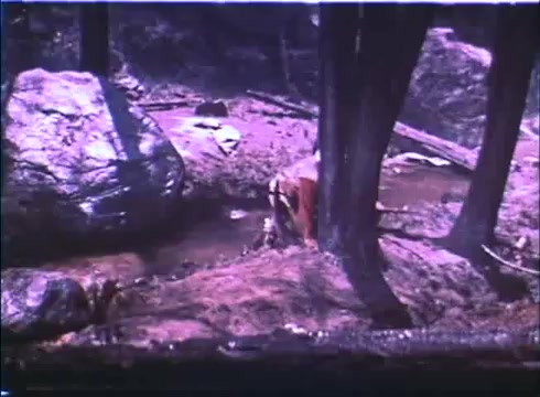 The still features a rugged outdoor setting, likely in a forested area, characterized by large rocks and trees. The colors, albeit faded due to the age of the 16mm print, suggest a natural landscape. The scene may depict a tense moment or a pause in action, fitting the Western genre of the film 'Showdown,' which starred Dean Martin and Rock Hudson.