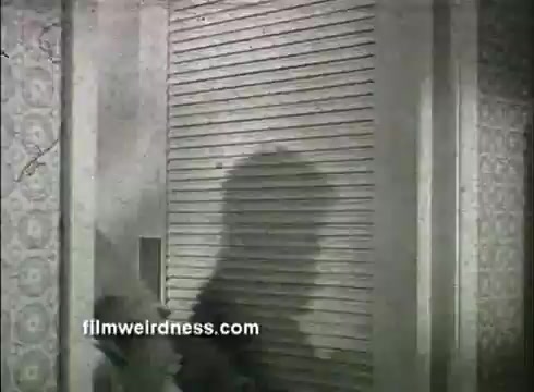 The still depicts a shadow of a person next to a slatted door, likely representing a scene from a 1960s Ajax Laundry Detergent commercial. The background features patterned wallpaper typical of that era, suggesting a domestic setting. The focus on the shadow hints at an action or moment related to laundry, aligning with the product's theme.