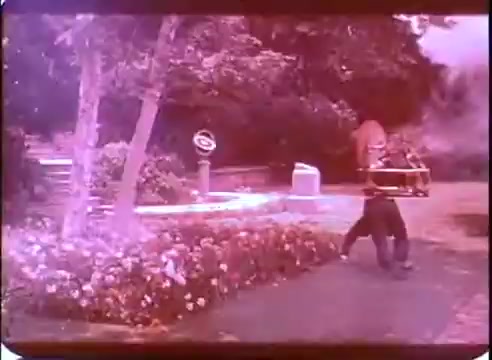 The still from 'The Time Machine' promo depicts a vibrant garden scene with lush flowers and trees. In the foreground, a figure appears to be interacting with a mechanical device, likely related to time travel, while a swirling burst of energy or light adds a dynamic element to the image. The overall color palette reflects a vintage tone, typical of 16mm prints, enhancing the fantastical atmosphere of the scene.