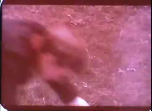 The still from the 16mm print of 'The Time Machine' promos features a blurred motion effect, suggesting dynamic action or movement. The background is a grassy area, creating a natural environment that complements the film's themes. The color tone is warm, likely due to the vintage film characteristics, adding a nostalgic feel to the image. Overall, it conveys a sense of adventure and intrigue associated with the time travel concept.