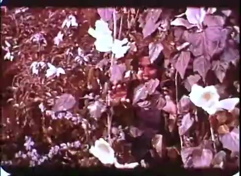 The still from 'The Time Machine' promos features a lush, overgrown setting filled with vibrant foliage and large white flowers. A figure is partially obscured among the plants, creating a sense of intrigue and exploration. The color palette is rich with earthy tones, emphasizing the vividness of the botanical elements. The atmosphere suggests a connection to nature and possibly hints at themes of time and change.