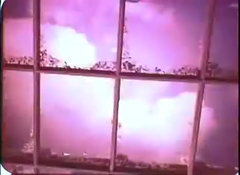 The still features a window frame with several panes, revealing a vibrant, ethereal scene outside. The colors are predominantly pink and purple, suggesting a surreal or fantastical atmosphere. There are hints of movement, mimicking a dreamlike quality. The window itself appears old and slightly dirty, adding to the vintage aesthetic typical of a 16mm print. The overall composition evokes a sense of wonder and hints at the themes of time travel present in 'The Time Machine.'