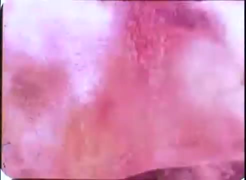 The still from the 16mm print of 'The Time Machine' promos features a blurred, abstract composition with a predominance of soft pinks and reds. The image has a textured appearance, likely representing film wear or aging, creating an ethereal or dreamlike quality that suggests movement or a transition, fitting the theme of time travel.
