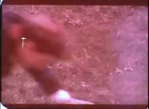 The still from 'The Time Machine' promos captures a blurred figure in motion, set against a textured, earthy background. The color palette is warm, suggesting a vintage aesthetic typical of 16mm film. The focus on movement implies action or urgency, likely hinting at a key moment from the film.