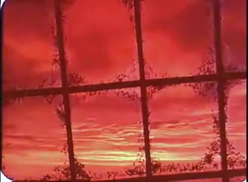 The still features a vibrant, reddish sky, potentially representing a dramatic sunset or atmospheric effect. The image is framed by a grid-like pattern, suggesting a window or screen through which the scene is viewed. The overall composition evokes a sense of wonder or otherworldliness, aligning with the themes of 'The Time Machine.' The colors and textures emphasize an imaginative or surreal quality typical of promotional stills from sci-fi films.
