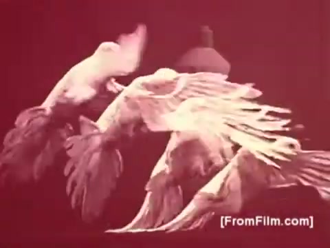 The still from 'Dove for Dishes' features two stylized doves in mid-flight, their wings spread wide. The color palette leans towards warm tones, creating a soft and dreamlike atmosphere. The background is muted, allowing the doves to be the focal point, emphasizing their graceful movement and intricate feather details. The overall composition suggests a sense of elegance and tranquility typical of animations from the 1970s.