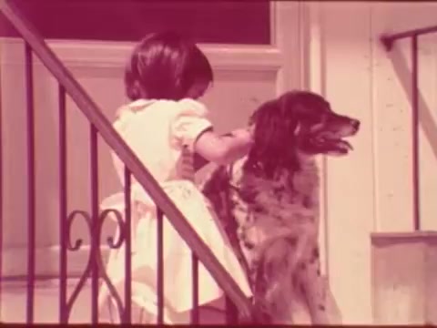 The still features a young girl in a light-colored dress interacting with her dog on a staircase. The scene has a warm, nostalgic tone, highlighting a moment of companionship between the girl and her pet. The background suggests a home setting, reinforcing themes of safety and care.