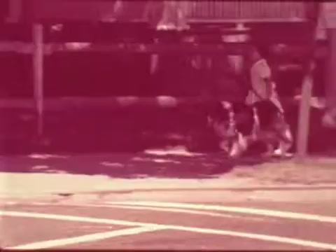 The still shows a girl walking her dog along a street, with a focus on their interaction. The setting appears to be a suburban area, marked by a sidewalk and grassy sections. The colors are muted, giving a vintage feel typical of 16mm film. The message likely emphasizes safety, showcasing the girl's care for her pet while navigating public spaces.