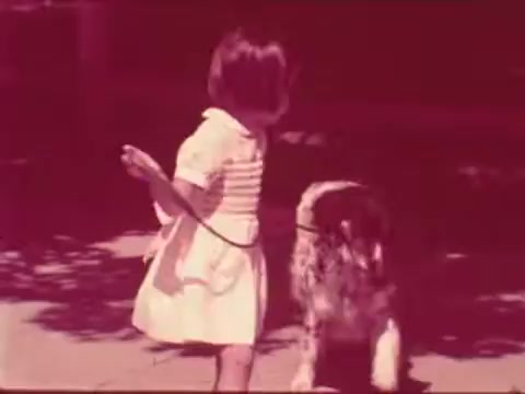 The still depicts a young girl holding a leash attached to her dog. The girl is wearing a light-colored dress with stripes, and she appears to be looking back, possibly engaging with the dog. The setting suggests a sunny outdoor environment, and the overall tone of the image is warm and playful, aligning with the theme of a public safety message involving pets and children.
