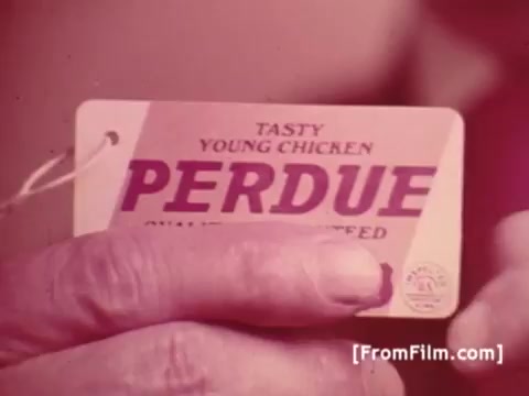 The still features a hand holding a tag that prominently displays the word 'PERDUE,' accompanied by the phrase 'TASTY YOUNG CHICKEN.' The tag suggests a focus on quality and freshness, embodying the brand's identity in the 1970s. The overall aesthetic reflects the retro style typical of that era's commercials, reinforcing Frank Perdue's reputation for producing tender chickens.