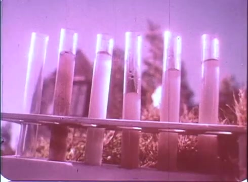 The still from the trailer of 'A Reflection of Fear' features a row of test tubes on a rack, filled with various liquids. The color palette appears washed out, typical of a 16mm print, contributing to a retro and slightly eerie atmosphere. The scene likely suggests a scientific theme, possibly relating to experiments or a sinister plot device. Overall, it sets a suspenseful tone for the horror flick.