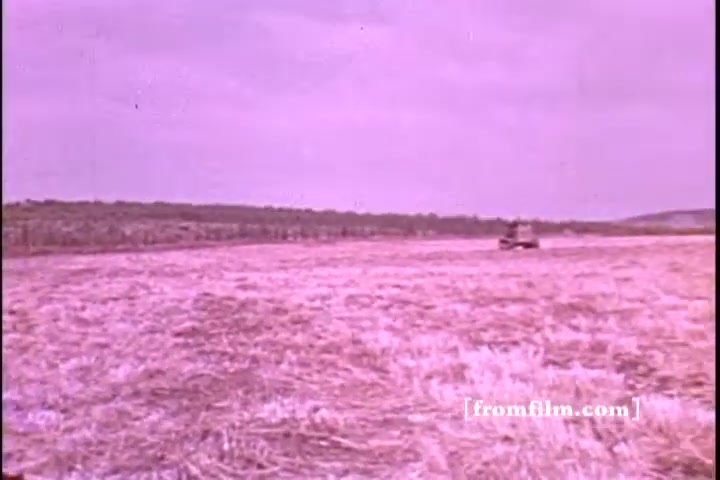The still showcases a rural landscape with a large, grassy field, emphasizing golden, dried vegetation. In the distance, there is a tractor or similar vehicle operating in the field, symbolizing agricultural activity. The color palette has a washed-out, pinkish hue, typical of 16mm film, adding a vintage quality to the scene. The overall mood reflects themes of productivity and land use, likely aligning with the purpose of promoting support for Israel through the PSA.