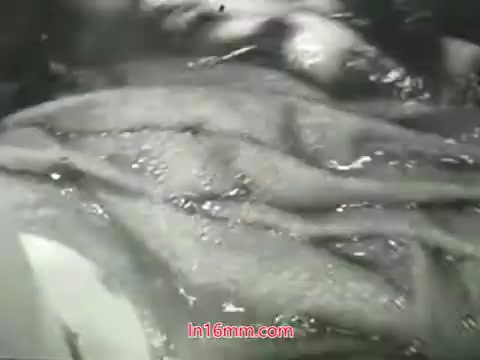 The still from the PSA features a close-up of a group of fish submerged in water. The visual likely symbolizes the natural environment, contrasting with the voiceover's message about urban pollution affecting air quality. The film emphasizes the importance of clean air and public health, suggesting that while objects can be washed and cleaned from city pollution, our lungs cannot be. The imagery serves to provoke thought about environmental health and collective responsibility.