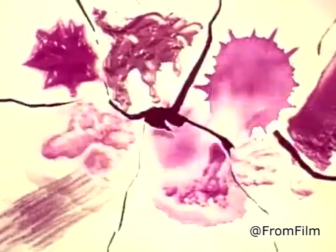 The still from the 'Tide XK' laundry detergent commercial features striking visual representations of stains, including blood and ketchup, depicted in vibrant colors. The imagery suggests the idea of breaking barriers, symbolizing the detergent's powerful cleaning capabilities. The text emphasizes a breakthrough in stain removal, highlighting Tide XK as a revolutionary product.