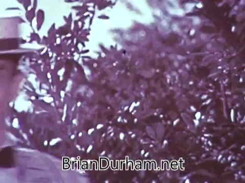 The still from the 1968 'Another Red Rose Tea' commercial features a man in a light-colored hat standing in front of lush, green foliage. The scene is captured on 16mm film, giving it a nostalgic and vintage appearance. While the specific context of its airing is unknown, it reflects the advertising style of the late 60s, emphasizing nature and perhaps a serene lifestyle associated with the tea.