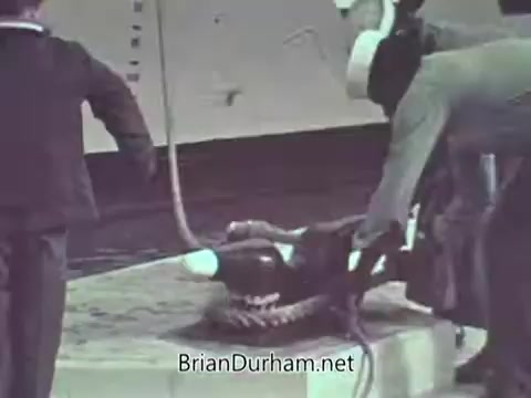 The still from the 1968 US Navy PSA features personnel engaging in a safety procedure involving a rescue or safety device, likely a life raft or flotation equipment. Two individuals are shown handling the equipment on a deck, indicative of naval training or emergency preparedness. The backdrop suggests a naval environment, emphasizing the importance of safety protocols at sea.