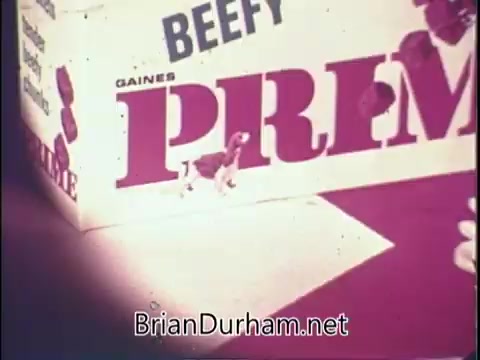 The still features a close-up of a box of 'Prime Dog Food' with the word 'BEEFY' prominently displayed. A small dog is depicted alongside the packaging, which suggests a focus on appealing to pet owners by highlighting the food's meaty qualities. The overall color scheme includes bold typography, conveying a simple yet effective advertisement for pet nutrition.