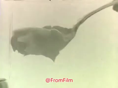 The still from the 'Dream Whip Commercial' features a close-up of a creamy substance being poured or whipped, showcasing its smooth texture. The monochrome tone emphasizes the product's consistency and appealing look, typical of 1960s and 1970s advertising aimed at highlighting the dessert topping. The background is minimal, drawing focus to the product itself.