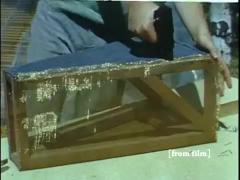The still from 'Collecting Large Bottom Dwelling Organisms' shows a close-up of hands assembling a rectangular container. The container appears to be made of wood and glass, suggesting it's designed for capturing or observing aquatic life. The exterior is shiny, likely from a protective coating. The background is somewhat blurred, hinting at an outdoor setting, while the emphasis is on the craftsmanship involved in preparing the container. This scene is part of a silent educational film focused on collecting small, bottom-dwelling organisms like frogs and other creatures.