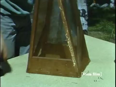 The still features a wooden collecting device, shaped like an inverted pyramid with transparent sides, resting on a table. A person's hand is partially visible, indicating interaction with the device. The setting appears natural, possibly outdoors, suggesting a focus on gathering aquatic life. The image captures a moment from the 1960s film 'Collecting Large Bottom Dwelling Organisms,' which explores the collection of small frogs and other creatures. The color is vibrant, characteristic of Ektachrome film stock.