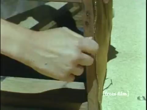 The still from the film 'Collecting Large Bottom Dwelling Organisms' shows a hand manipulating a wooden structure, likely part of a collecting apparatus. The scene evokes a sense of scientific exploration and curiosity, typical of educational films from the late 1960s. The focus on a singular action suggests preparation for the collection of small aquatic organisms, such as frogs and other bottom-dwelling creatures, in a natural setting. The overall aesthetic features the vibrant colors characteristic of Ektachrome film.