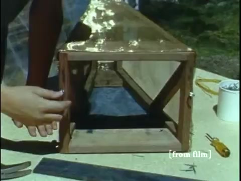 The still from the film 'Collecting Large Bottom Dwelling Organisms' shows a wooden box-like structure being handled by a person. This structure appears to be a makeshift collecting device, likely designed for trapping small frogs and other aquatic creatures. The surface of the box is shiny, reflecting light, with visible woodgrain details. Tools and materials are laid out nearby, indicating preparation for a collection process in a natural setting. The context suggests a focus on educational practices regarding biology and ecology in the late 1960s.