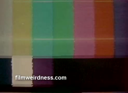 The still captures a vibrant color bar test pattern, which is often used in television broadcasts for calibration purposes. The hues include shades of green, blue, purple, and orange, transitioning smoothly from one to the next. This particular clip is from Barney's commercial, which won a CLIO award, and showcases the improved color correction after being professionally adjusted.