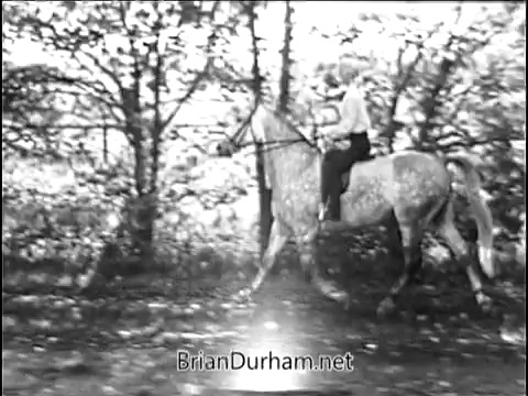 The still from the 1968 Maxwell House commercial features a person riding a horse through a wooded area. The scene is monochromatic, capturing the essence of a nostalgic outdoor setting. The rider is casually dressed, and the horse appears to be moving at a steady pace, surrounded by trees, contributing to a sense of tranquility and connection with nature.