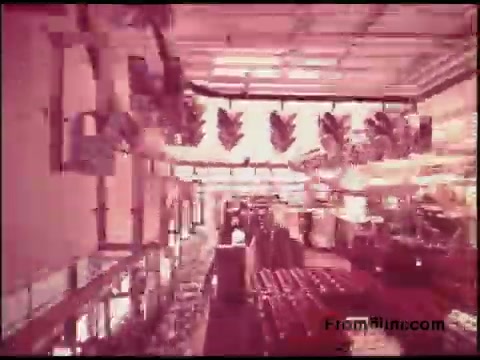 The still from the Bell System film features a vintage industrial setting, likely a telecommunications facility from the 1970s. The image showcases uniform rows of equipment, possibly cables or switches, and overhead lighting. The color palette suggests a warm, faded tone typical of older film stock, contributing to a nostalgic atmosphere. Overall, it reflects the technology and organizational structures of that era in the telecommunications industry.