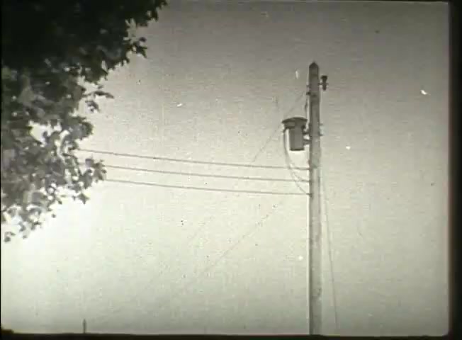 The still from 'Story Without End' depicts a utility pole set against a clear sky, featuring wires that connect to the pole, which supports a small attachment (likely a transformer or a communication device). A tree is partially visible on the left side, providing context to the rural or suburban setting typical of the late 1940s. This imagery reflects the infrastructure of the Bell System during that era, emphasizing telecommunications development.