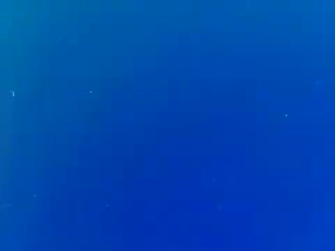 The still from the trailer of 'When Women Lost Their Tails' features a simple blue background, suggesting a promotional focus on atmosphere rather than action. This Italian film from 1970, later prepared for American release, likely emphasizes a whimsical or surreal tone in its marketing. The clarity and vibrancy of the color indicate that the film has been preserved well, especially considering its origins from a 16mm negative and soundtrack, hinting at its potential appeal for a rerelease around the mid-1970s.