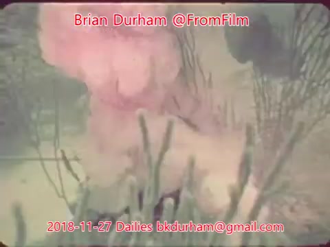 The still features an underwater scene, likely depicting marine life or coral formations. There is a soft, colorful mist or cloud, possibly created by a volcanic event or marine organism. The overall mood appears ethereal, with a focus on natural beauty. Text overlays provide information about the film and the date.